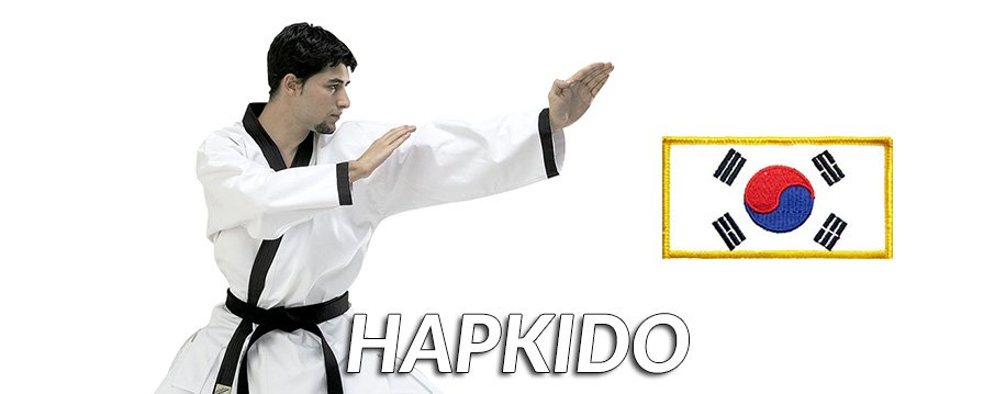 Hapkido en Esport Rogent